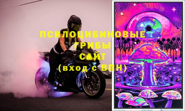 крисы Белоозёрский