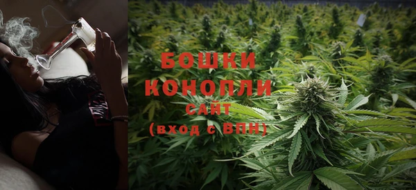 крисы Белоозёрский