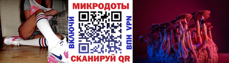 Псилоцибиновые грибы мицелий купить наркотики сайты Кунгур