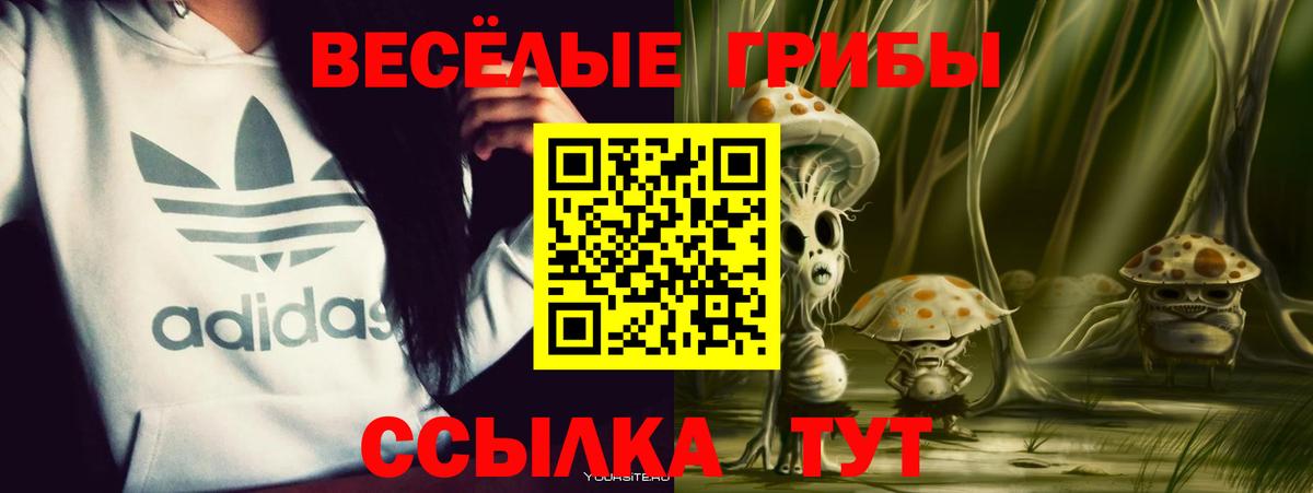 Кунгур  Псилоцибиновые грибы Psilocybine cubensis  дарнет шоп  Вход с VPN 